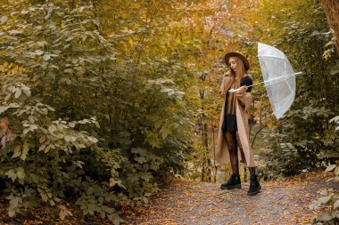 Sonbahar giysileri içinde, sonbahar arka planında şeffaf şemsiyesi olan bir model. Metin için boş alan