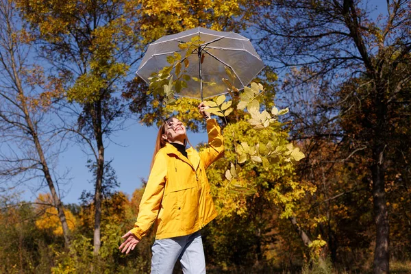 Emotional Woman Autumn Leaves Transparent Umbrella Front Yellow Leaves Bright — Stock Photo, Image