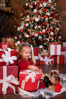 5 yıllık bir kız ve hediye getiren bir köpek..