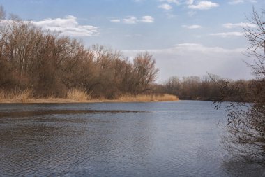 İlkbaharın başlarında yaprakları olmayan bir nehir.
