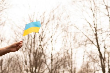 Ukrayna bayrağı elinde gökyüzüne karşı. Ukrayna 'da savaş. Yaptırımlar