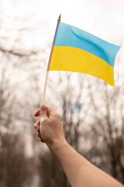 Die Flagge Der Ukraine Gegen Den Himmel Der Krieg Zwischen — Stockfoto