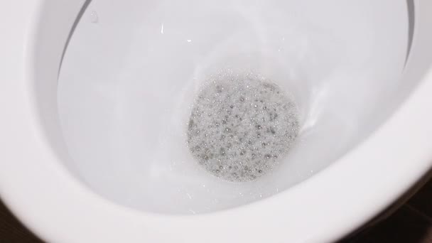 Water Flushed Clean Toilet — Stock Video