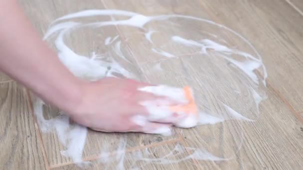Housewife Washes Parquet Sponge Foam Close Cleaning — Vídeo de stock
