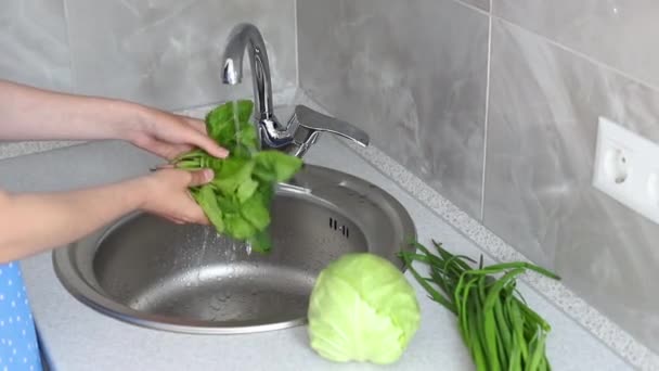 Housewife Washes Spinach Kitchen Salad Close — Vídeos de Stock