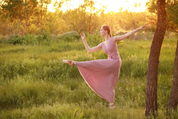 Dancer Dances Dress Sunset Nature Dance School Banner — Stock Photo, Image