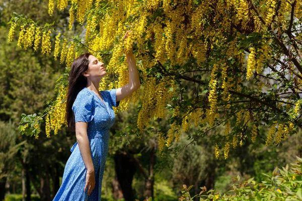 Uma Mulher Vestido Azul Perto Uma Árvore Amarela Florescendo Verão — Fotografia de Stock