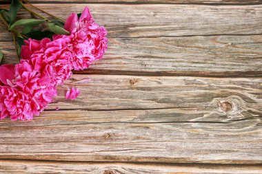 Ahşap arka planda pembe şakayıklar. Yaz havası