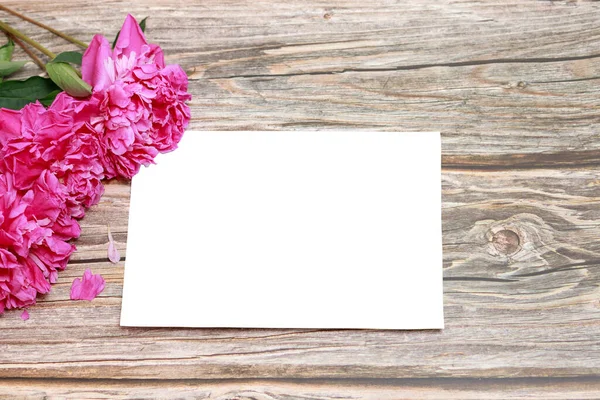 Şakayıklı ahşap arka planda mocap