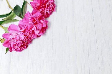 Hafif ahşap arka planda pembe şakayıklar