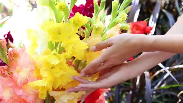 Woman Touching Colorful Flowers Close — Stockvideo