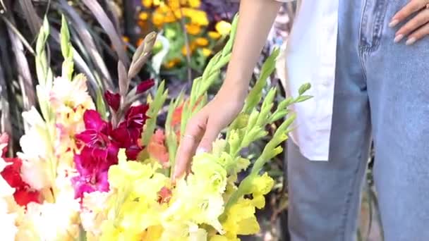 Close Woman Touching Flowers Flower Market — Stock video