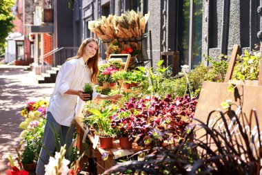 woman chooses a flower in a pot at a flower market