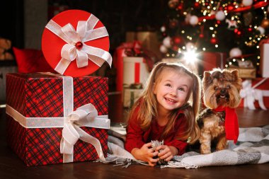 Noel mutluluğu küçük mutlu kız ve köpek bir hediyeyle Noel ağacının yanında. Tatlı köpek Noel Baba.