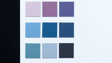 High quality sample book of vegetable tanned leather on black background for leather industry with cold tone.