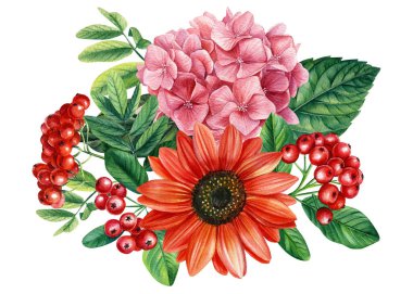 Balkabağı, ortanca ve rovan, beyaz arka planda tasarım için elementler kümesi