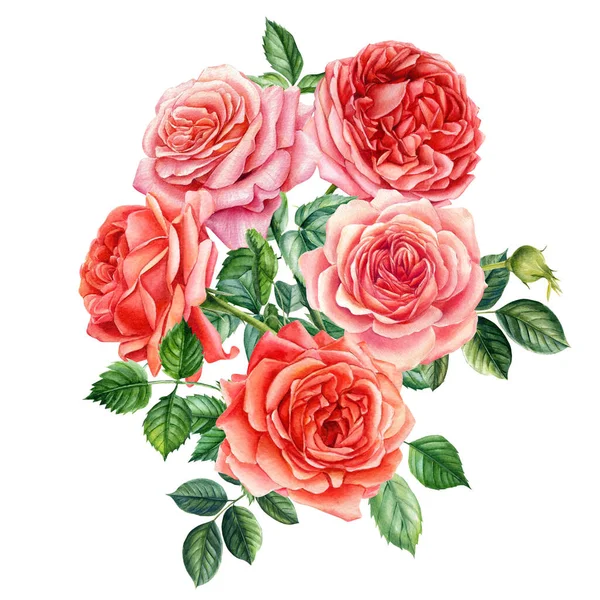 Akvarell blommor, bukett rosor, kvistar på en isolerad bakgrund, botanisk illustration, blommig design element — Stockfoto