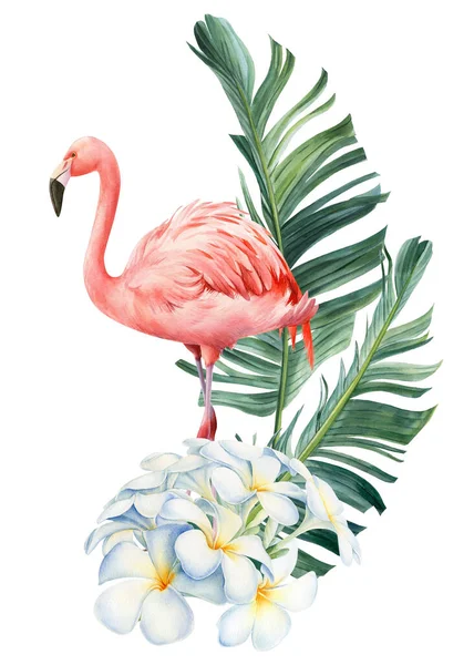 水彩斑斓的热带棕榈叶,花朵和鸟类.植物图解羽毛和火烈鸟，招贴画 — 图库照片