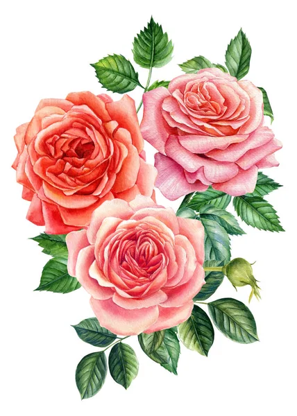 Акварельні квіти, букет з троянд, гілочки на ізольованому тлі, ботанічна ілюстрація, елементи квіткового дизайну — стокове фото