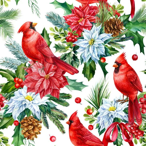 Seamless Pattern Red Birds Winter Plants Poinsettia Holly Berries Leaves — Stock Photo, Image