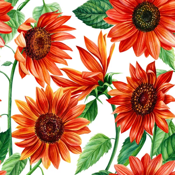 赤い花 シームレスなパターンひまわり 水彩包装紙 テキスタイル印刷のための手描きイラスト 高品質のイラスト — ストック写真