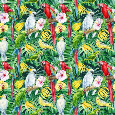 Papağanlar, tropik kuşlar, egzotik bitkiler orman, yapraklar ve orkide, amber çiçekleri, pürüzsüz desen, palmiye arka planı