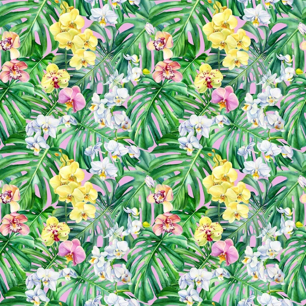 Acuarela Flores tropicales de orquídea y hojas de monstera, Patrón exótico sin costuras. Ilustración pintada a mano. —  Fotos de Stock