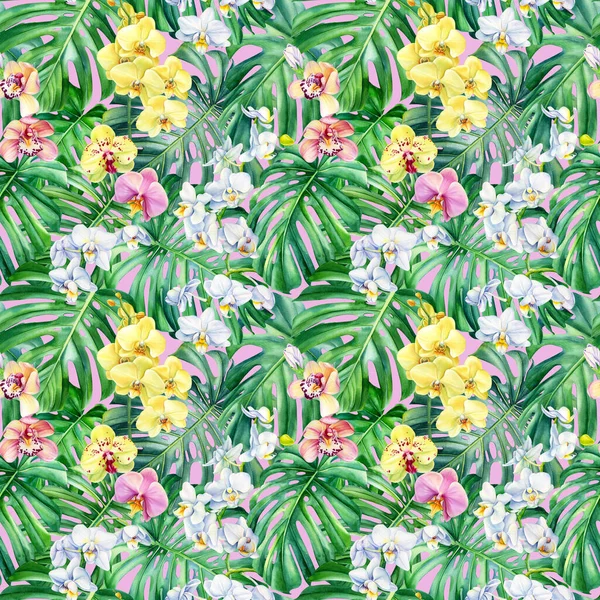 Watercolor Tropical orchid flowers and monstera leaves, Exotic seamless pattern. Hand painted illustration. 