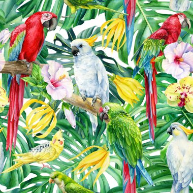 Tropik kuşlar papağan, egzotik bitkiler orman, yapraklar ve orkide, ambar çiçekleri, pürüzsüz desen, palmiye arka planı
