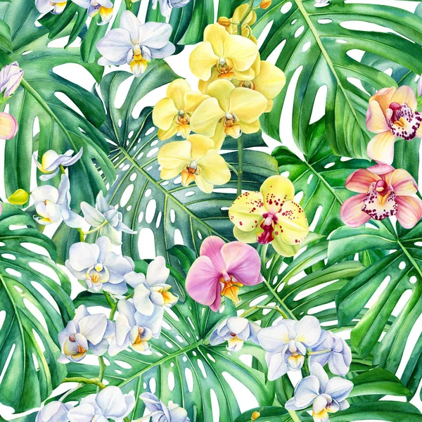 Suluboya Tropikal orkide çiçekleri ve canavar yaprakları, dikişsiz egzotik desen. Elle boyanmış resim. — Stok fotoğraf