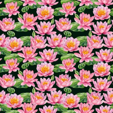 Pembe nilüfer çiçekleri, botanik desenler. Elle çizilmiş suluboya deseni