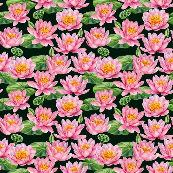 Pink lotus flowers, Botanical pattern. Hand drawn watercolor seamless pattern — Stock Photo, Image