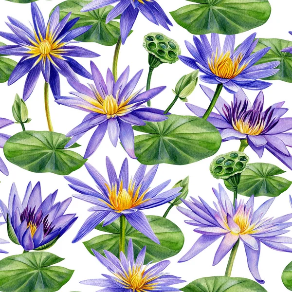Фиолетовые цветы лотоса, ботанический узор. Ручной рисунок акварели — стоковое фото