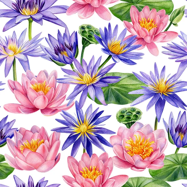 Lotusblommor. Botaniskt mönster. Handritat akvarell sömlöst mönster. Lotusar tapeter, digitalt papper — Stockfoto
