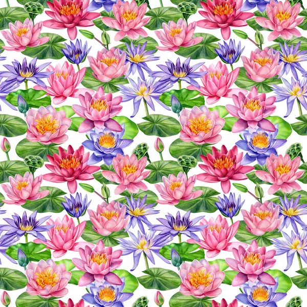 Lotus, bei fiori, pittura ad acquerello disegnata a mano, modello senza cuciture — Foto Stock