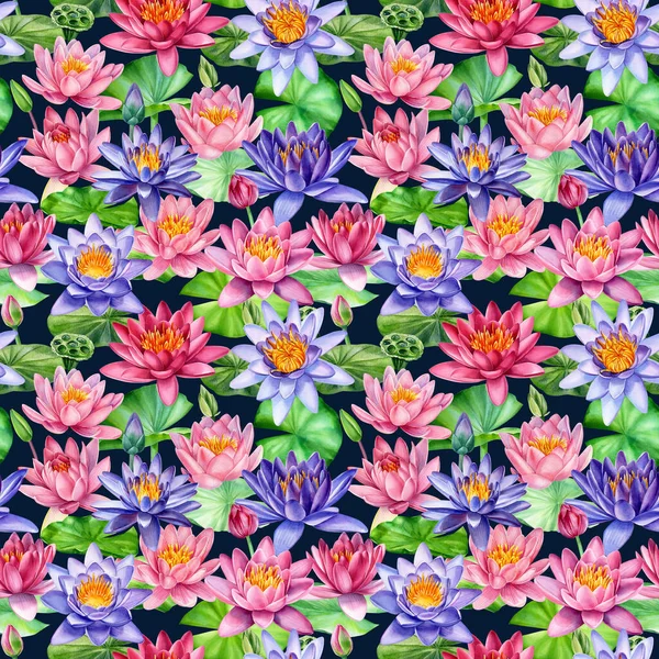 Lotus, bei fiori, pittura ad acquerello disegnata a mano, modello senza cuciture — Foto Stock