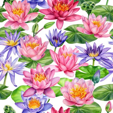 Nilüfer çiçekleri, el çizimi suluboya resim, pürüzsüz, davet, paketleme ve arkaplan şablonu. 