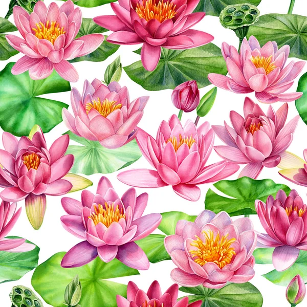 Kwiaty lotosu, ręcznie malowane akwarele, bez szwu, zaproszenie, opakowanie i szablon tła. — Zdjęcie stockowe