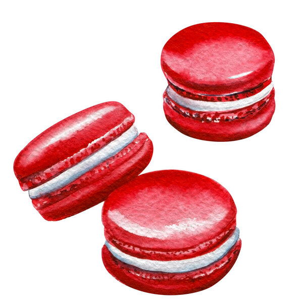 Macaroon watercolor drawing, illustration of hand painted sweet