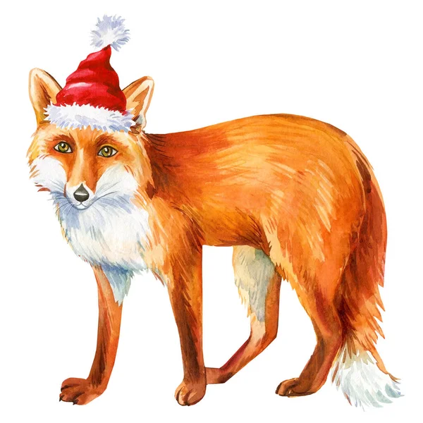 Stříhaná liška v červeném klobouku Santa Claus, izolované na bílém pozadí, roztomilé zvíře ilustrace — Stock fotografie