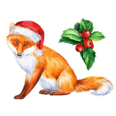 Kırmızı şapkalı tilki ve çobanpüskülü, beyaz arka planda izole edilmiş, şirin hayvan çizimi.