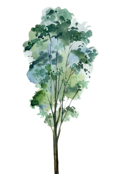 孤立的白色背景绿树，水彩画 — 图库照片
