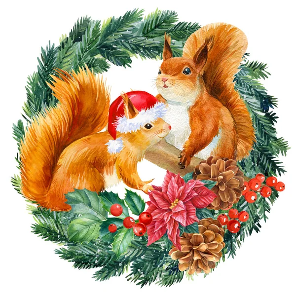 Holiday Squirrel, wieniec świerkowy na odizolowanym białym tle, słodkie zwierzę zimowe. — Zdjęcie stockowe