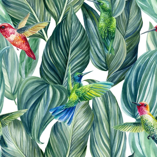 Tropikalny bezszwowy wzór liści palmy, ilustracja akwarela, koliber ptaków — Zdjęcie stockowe