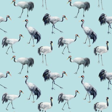 Mavi arka planda vinçleri olan kusursuz desenler suluboya çizimler, kağıt tasarımı, kuşlar..