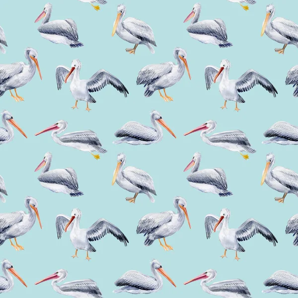 Mavi arka planda pelikanların olduğu kusursuz desen suluboya çizimler, kağıt tasarımı, kuşlar.. — Stok fotoğraf