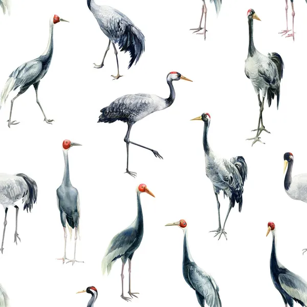 Бесшовный узор с кранами на белом фоне, акварельная иллюстрация, дизайн бумаги, птицы — стоковое фото