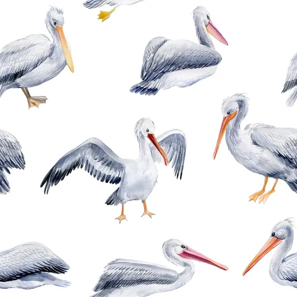 Suluboya pelikanlar, duvar kağıdı ya da kumaş için tasarım, kuşlar kusursuz desen — Stok fotoğraf