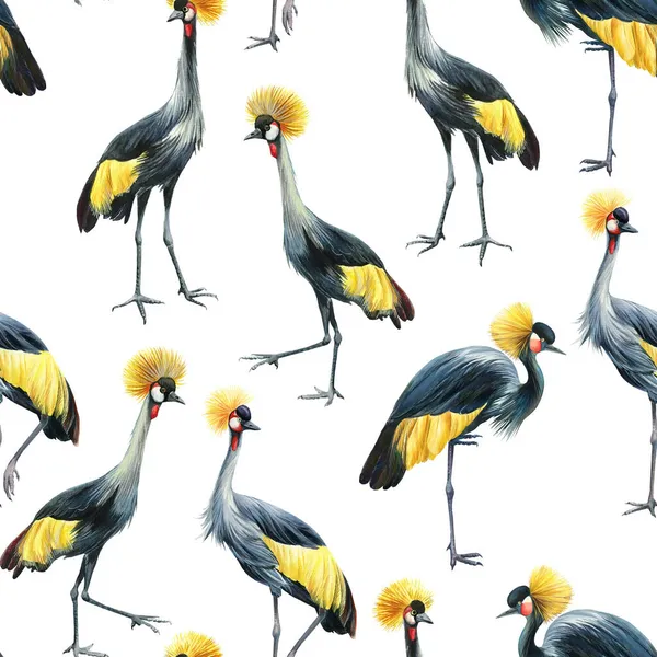 Patrón sin costuras con grúas sobre fondo blanco, ilustración de acuarela, diseño de papel, pájaros — Foto de Stock