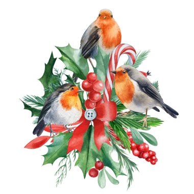 Elle boyanmış Noel. Robin, Holly, ladin dalları, soyutlanmış beyaz arka planda kuşlar, Viktorya döneminden kalma suluboya.
